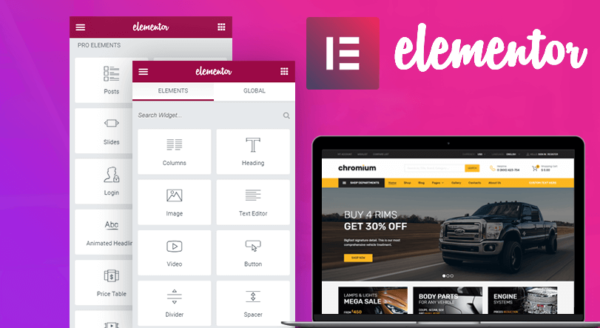 Elementor Pro Versão 3.23.3 - Imagem 2